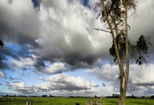 生死攸关：关键时刻的决定性一击，胜负在此一役