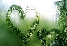 罗马豪取两连胜，锁定欧冠半决赛席位