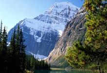 赛艇项目惊艳绽放，精彩瞬间感动现场