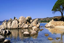 江苏男篮努力拼搏，实力逐渐显露！